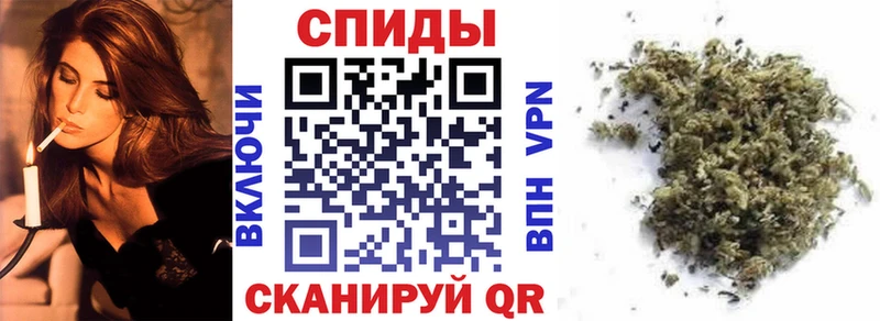 Купить  Салаир  Бутират 1.4BDO 