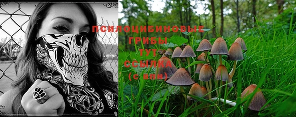 марихуана Зеленокумск
