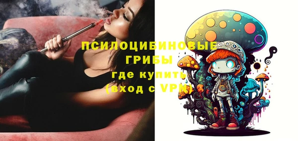 прущие грибы Тобольск