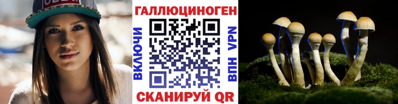 Галлюциногенные грибы Cubensis  Купить  Салаир 
